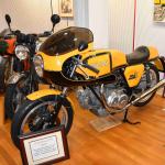 DSC_0070_00027 (October 07, 2023)